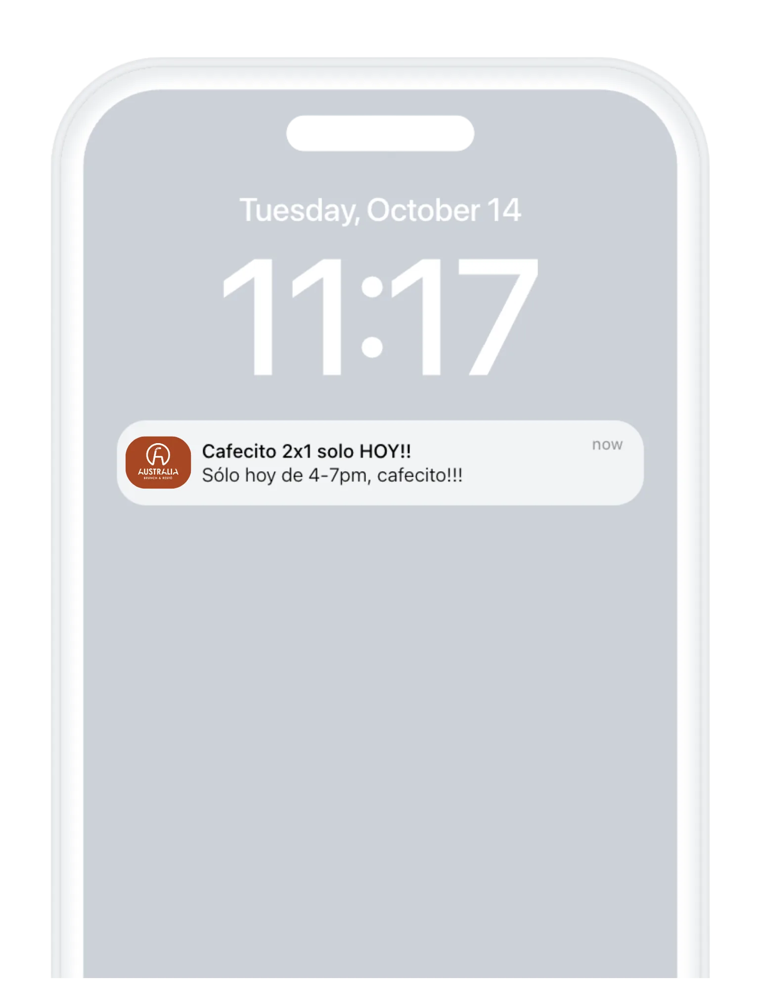 iPhone mostrando push notification de promoción
